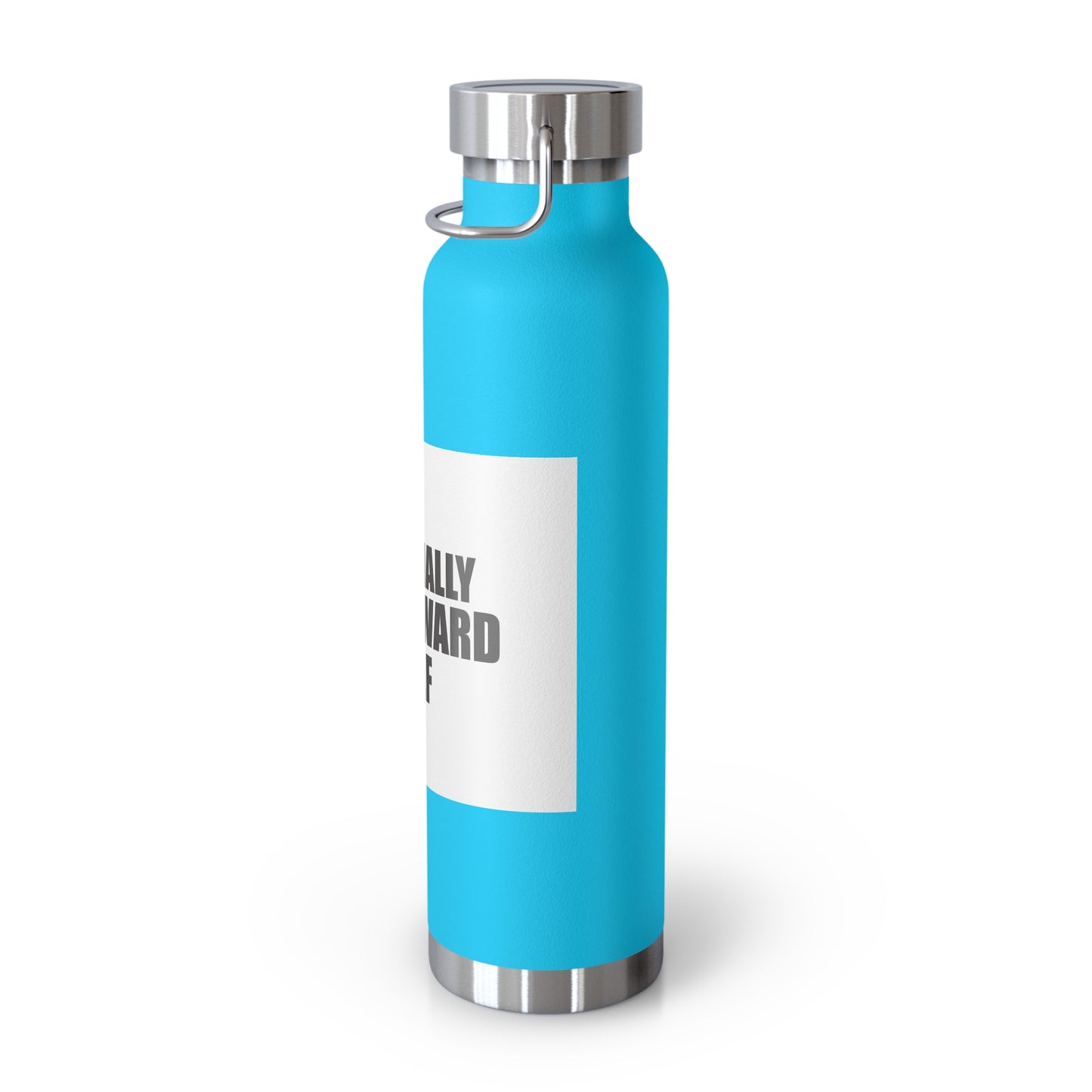 Copper Vacuum Insulated Bottle, 22oz